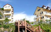 宜蘭民宿 - 「清境白雲渡假山莊」主要建物圖片